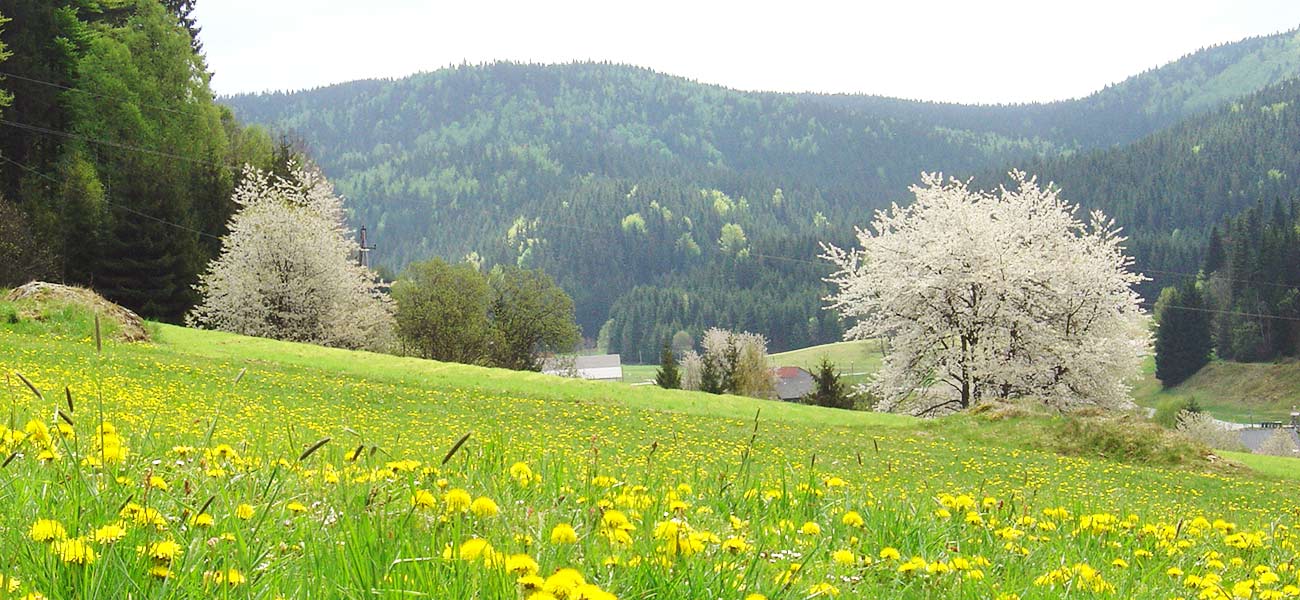 Haus Linda, Frühling Stimmung
